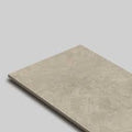Gạch sứ ốp lát không phủ men mã số: 100VICTORIA005 - CÔNG TY CỔ PHẨN ĐỒNG TÂM MIỀN TRUNG. Địa chỉ: Lô 3, Khu Công nghiệp Điện Nam – Điện Ngọc, phường